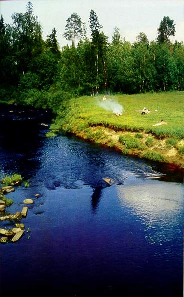 NATURE2.jpg (41584 bytes)