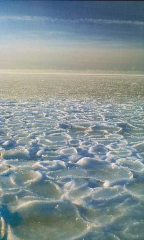 SEA.jpg (20054 bytes)