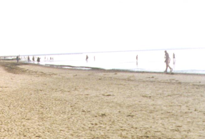 whitesea.jpg (28390 bytes)